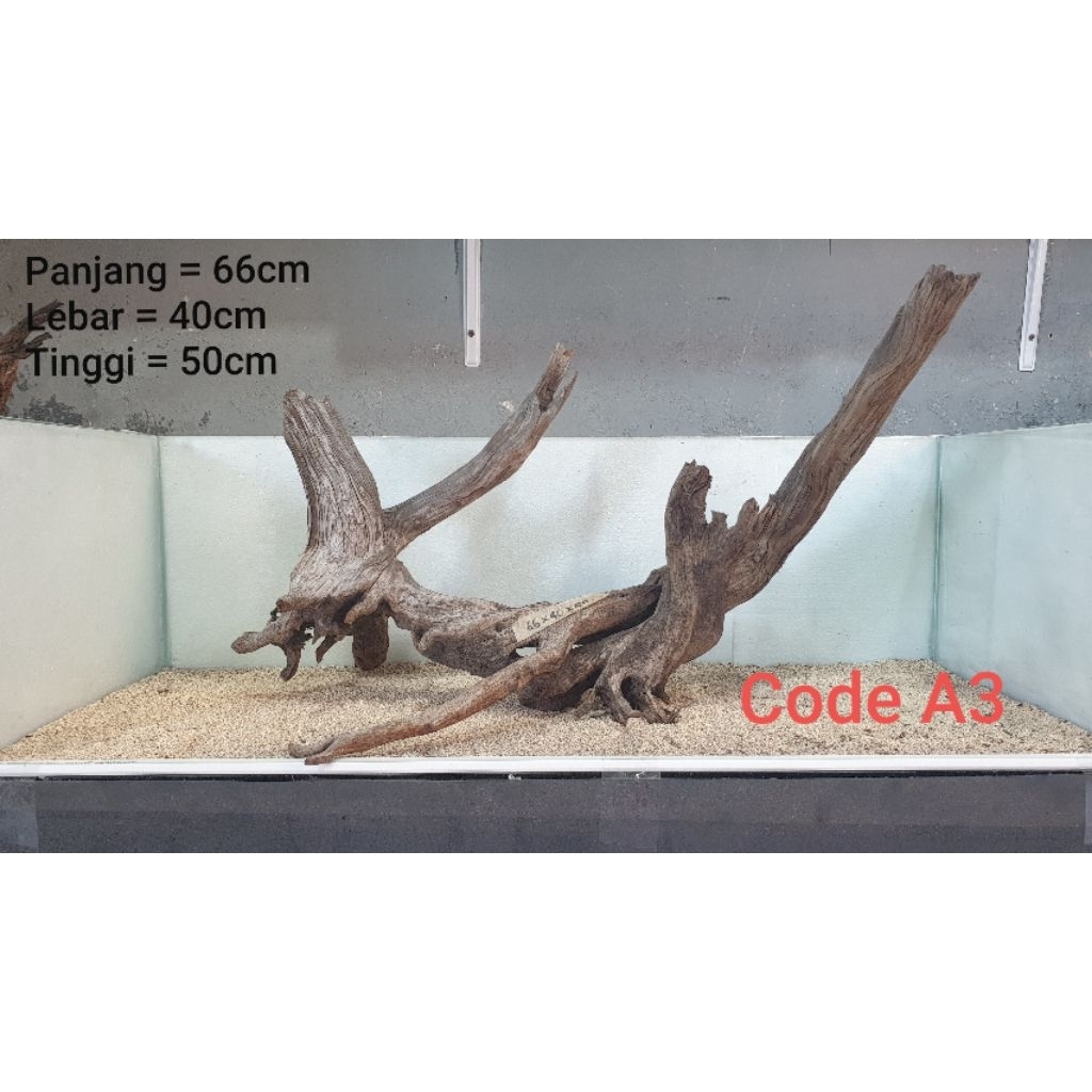 kayu santigi ( kayu tenggelam )