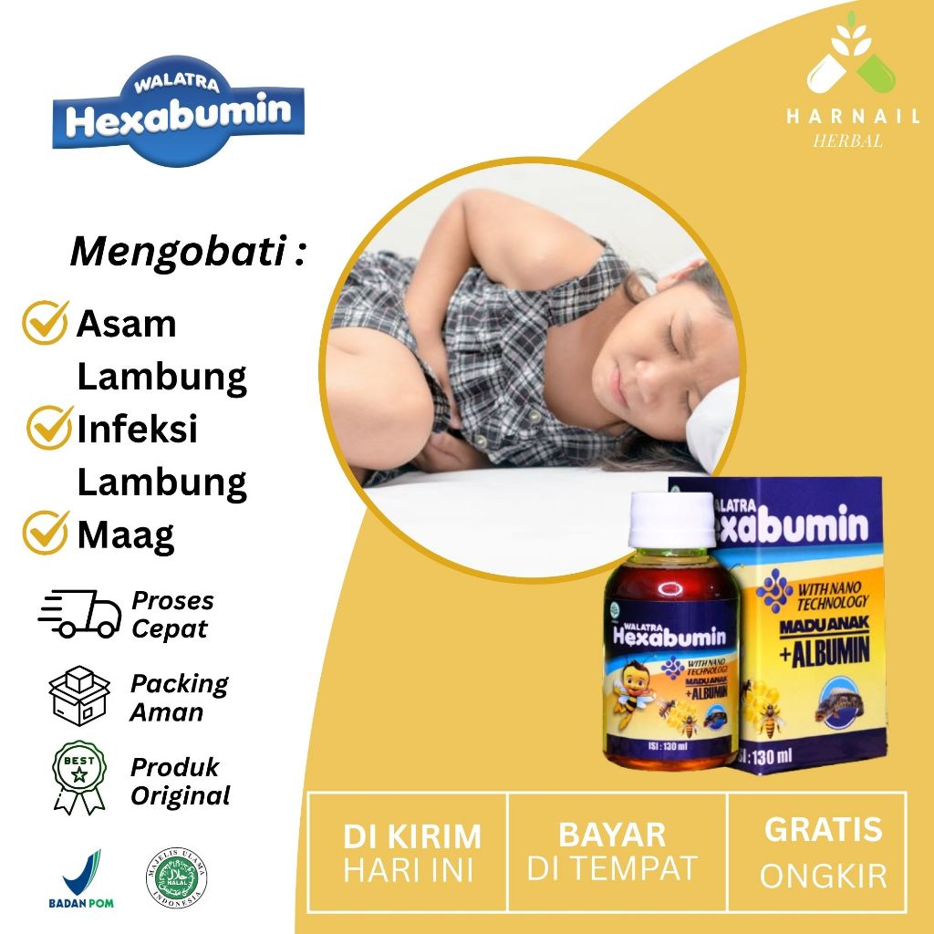 Hexabumin Albumin Obat Untuk Asam Lambung Pada Anak Infeksi Lambung Maag