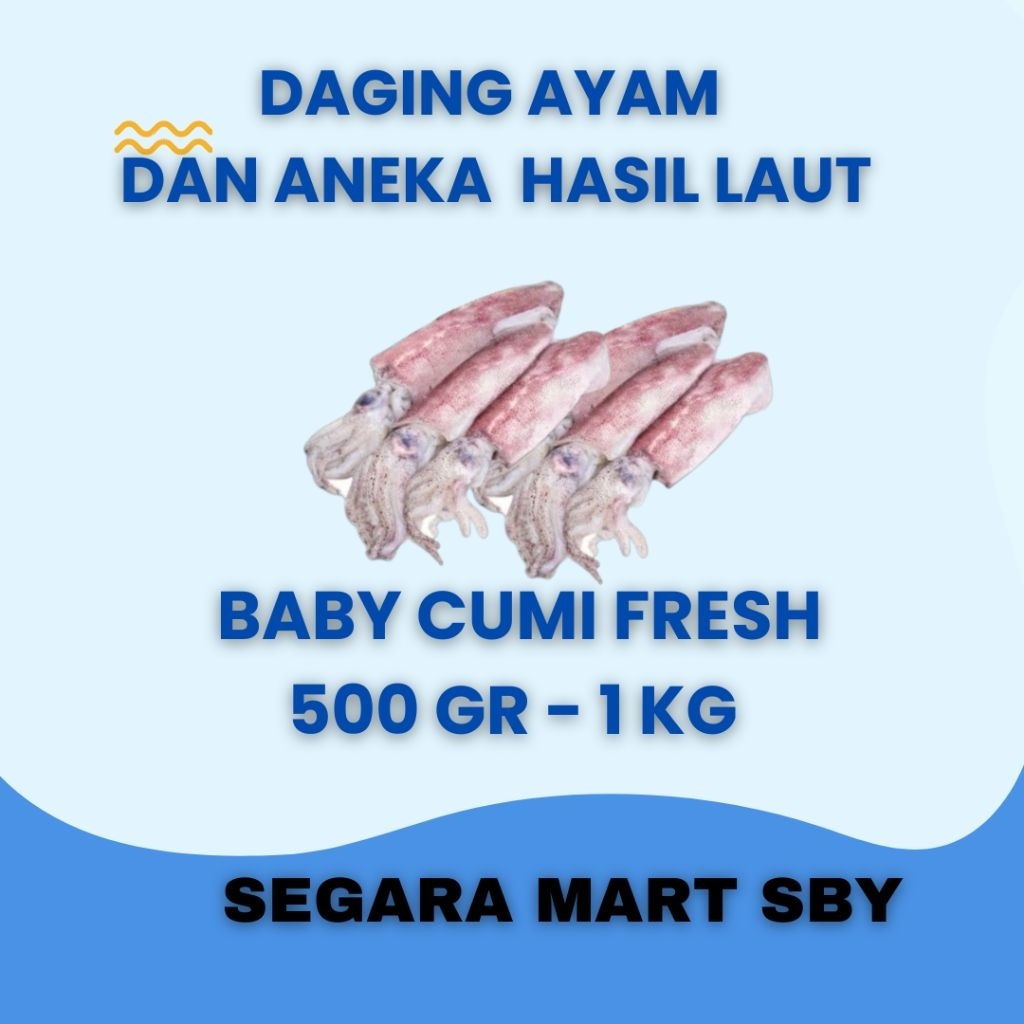 

BABY CUMI SEGAR 500 GR - 1 KG || Segara Mart Sby