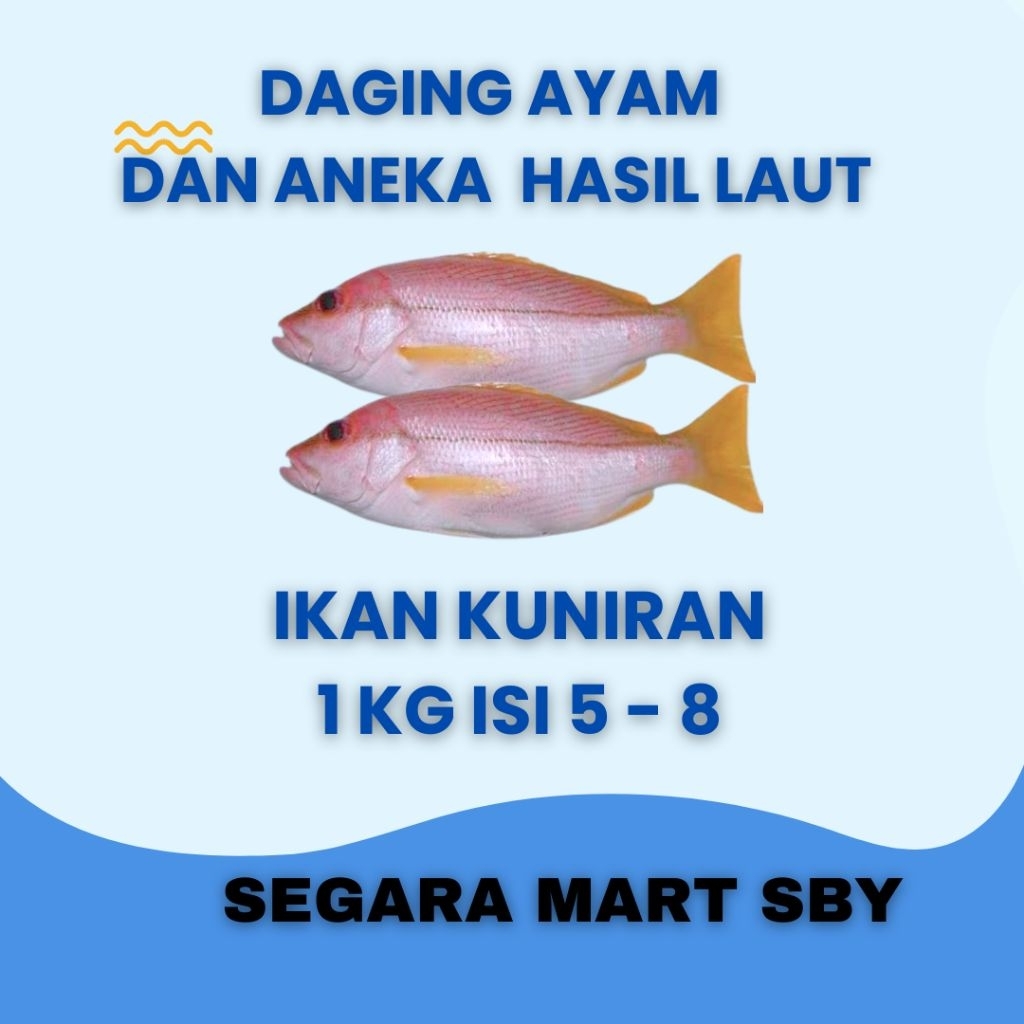 

IKAN KUNIRAN 1 KG ISI 5 - 8 || Segara Mart Sby