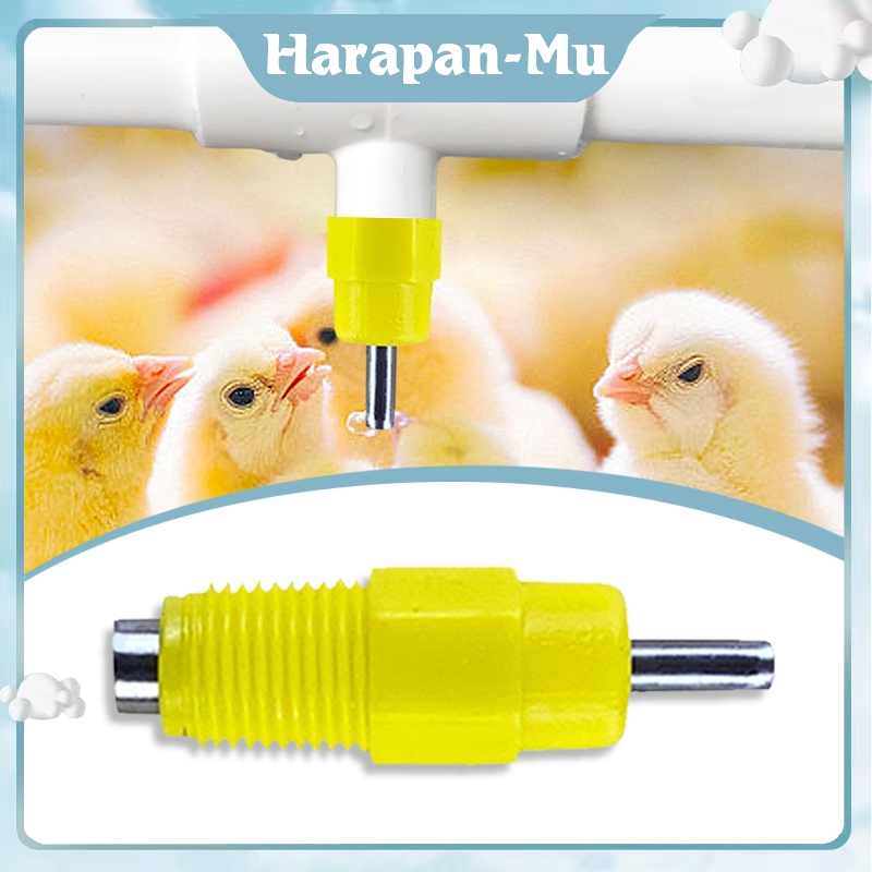 Isi 20 Niple Drinker Ayam Aksesoris Alat Minum Ayam Nipel Pipa Kotak