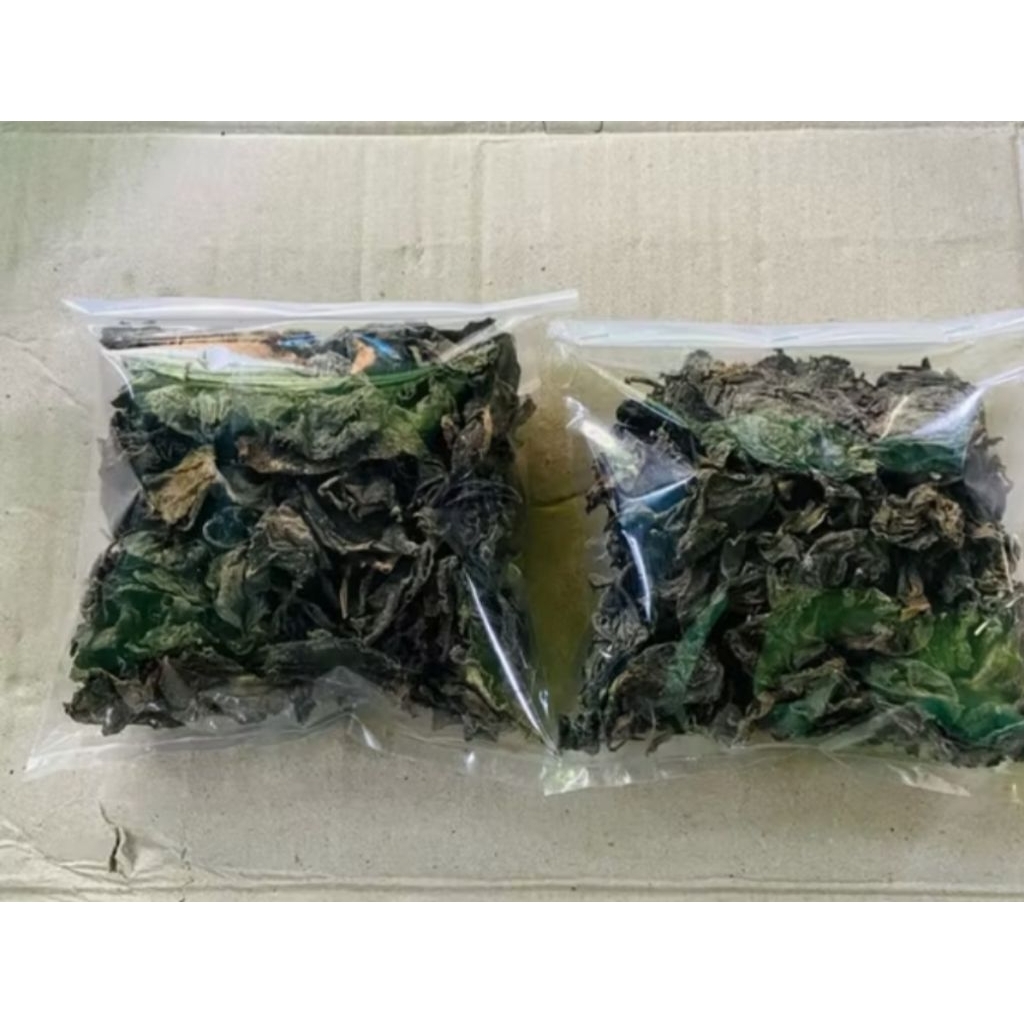 

Daun binahong kering tanfa batang orginal 200 gram