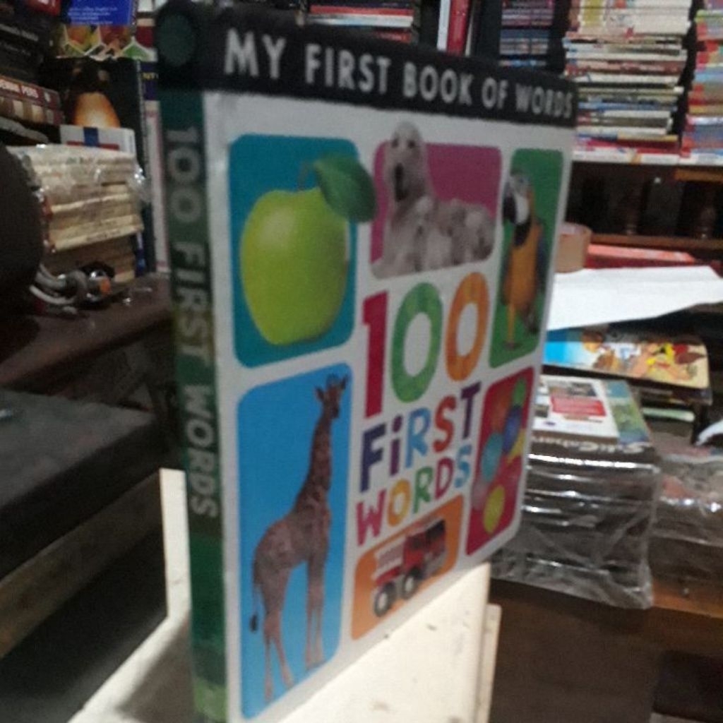 100 FIRST WORDS _ MY FIRST BOOK BOOK OF WORDS