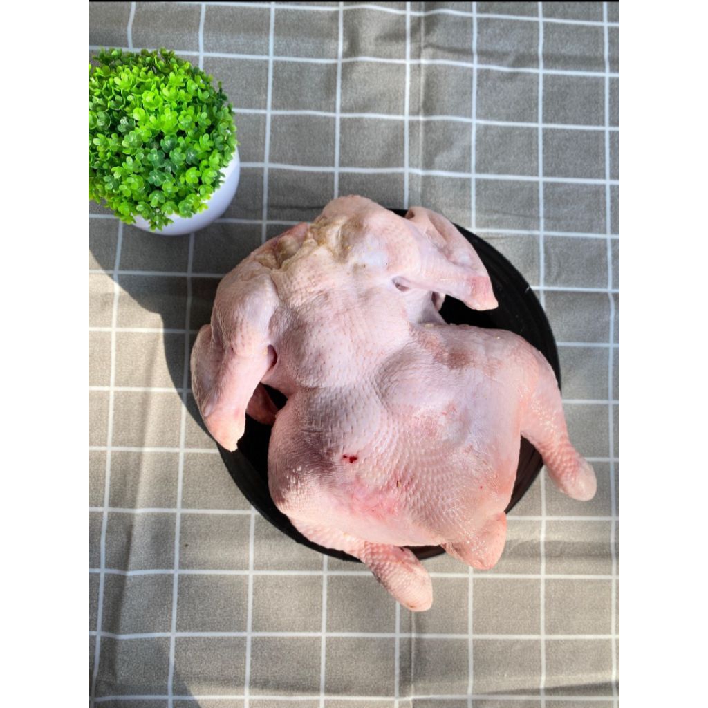 

Ayam Potong Campur 500 gram