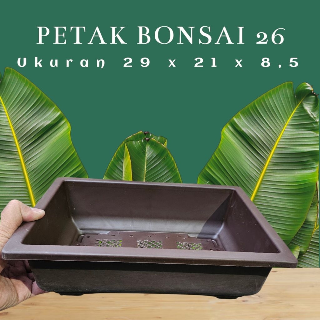 Pot plastik Petak bonsai 26 COKLAT pot plastik persegi panjang