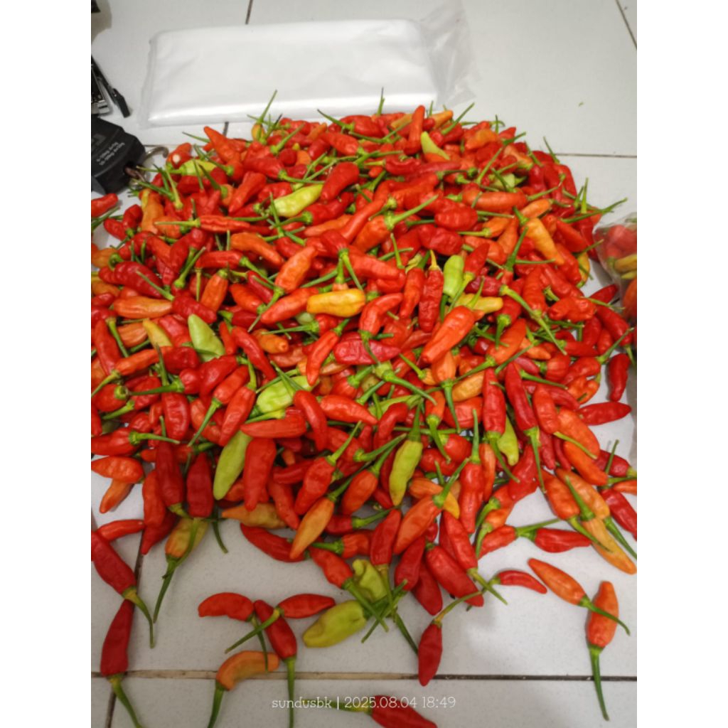 

Buah Cabe Rawit Segar 500 gram