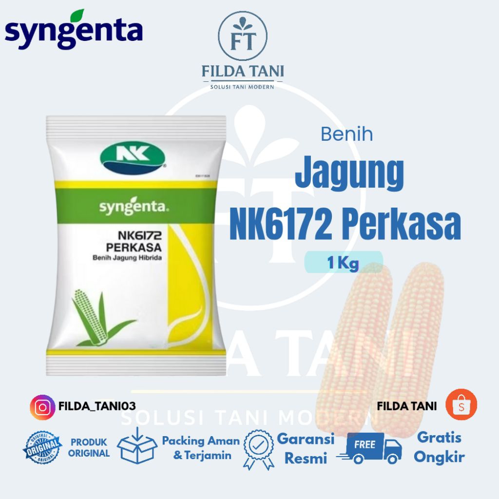 

SYNGENTA — Benih Jagung NK6172 PERKASA 1 Kg