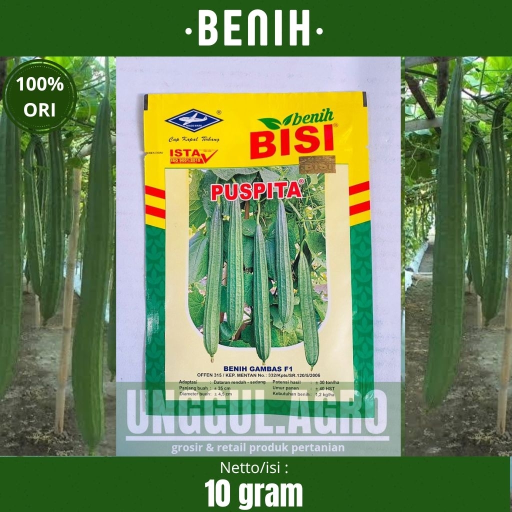 Benih gambas oyong PUSPITA 10gam dari bisi cap kapal terbang