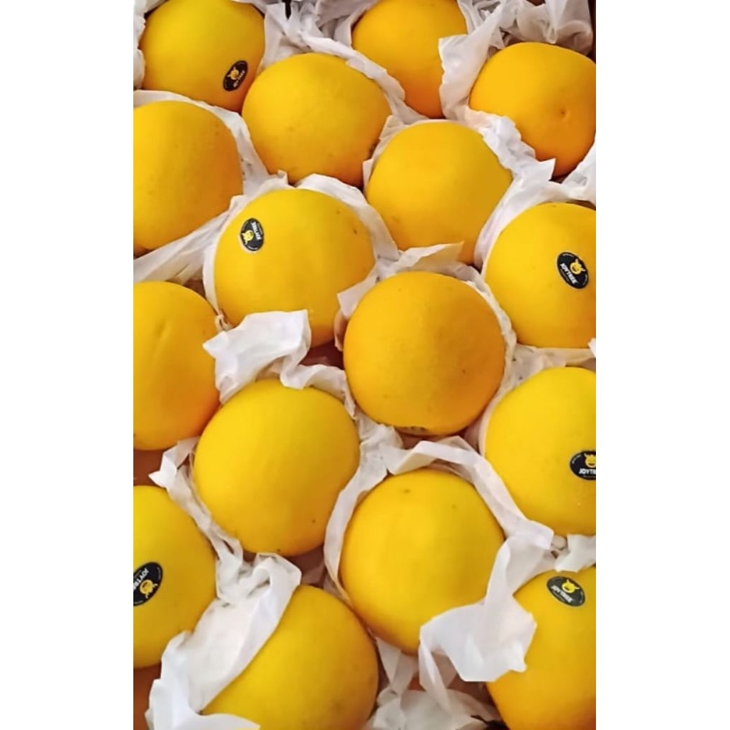 

JERUK SUNKIST MESIR 1 KG