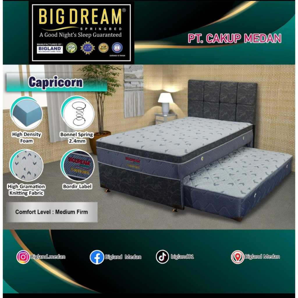 Bed dorong bigland capricorn 4 kaki