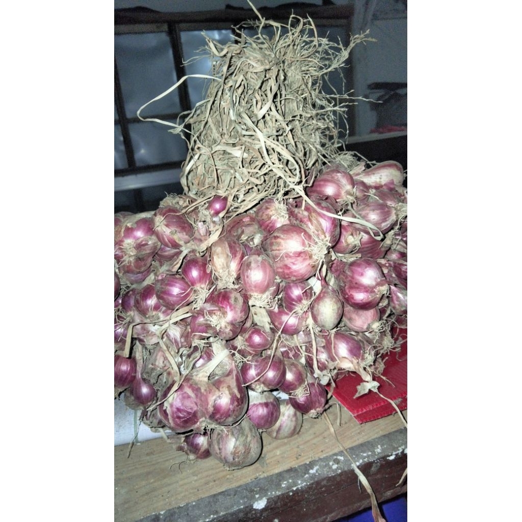 

bawang merah tanggung campur