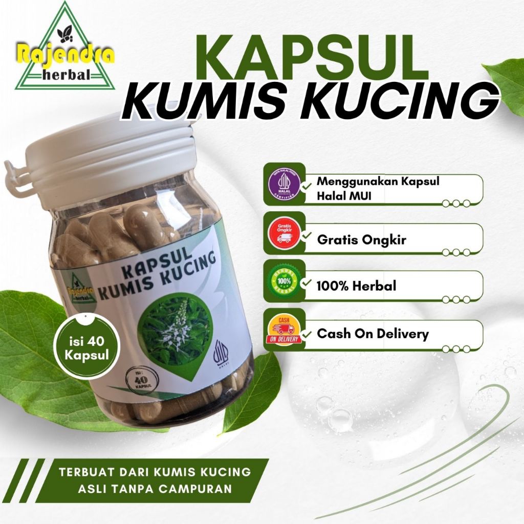 Kapsul Herbal Kumis Kucing || 100% Herbal Alami