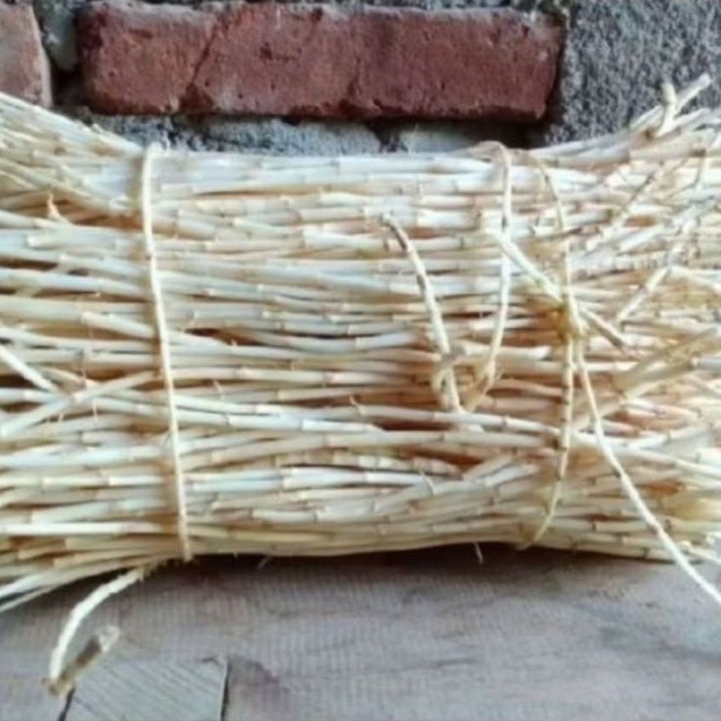 

akar Alang Alang segar obat herbal alami berat 1 kg