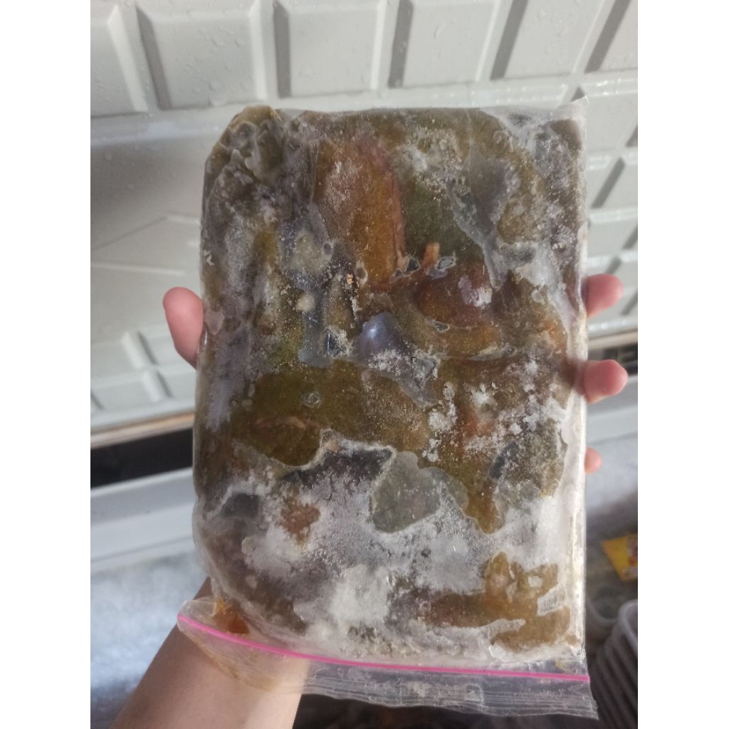 

Titik Frozen | Telur ikan lele 500gr