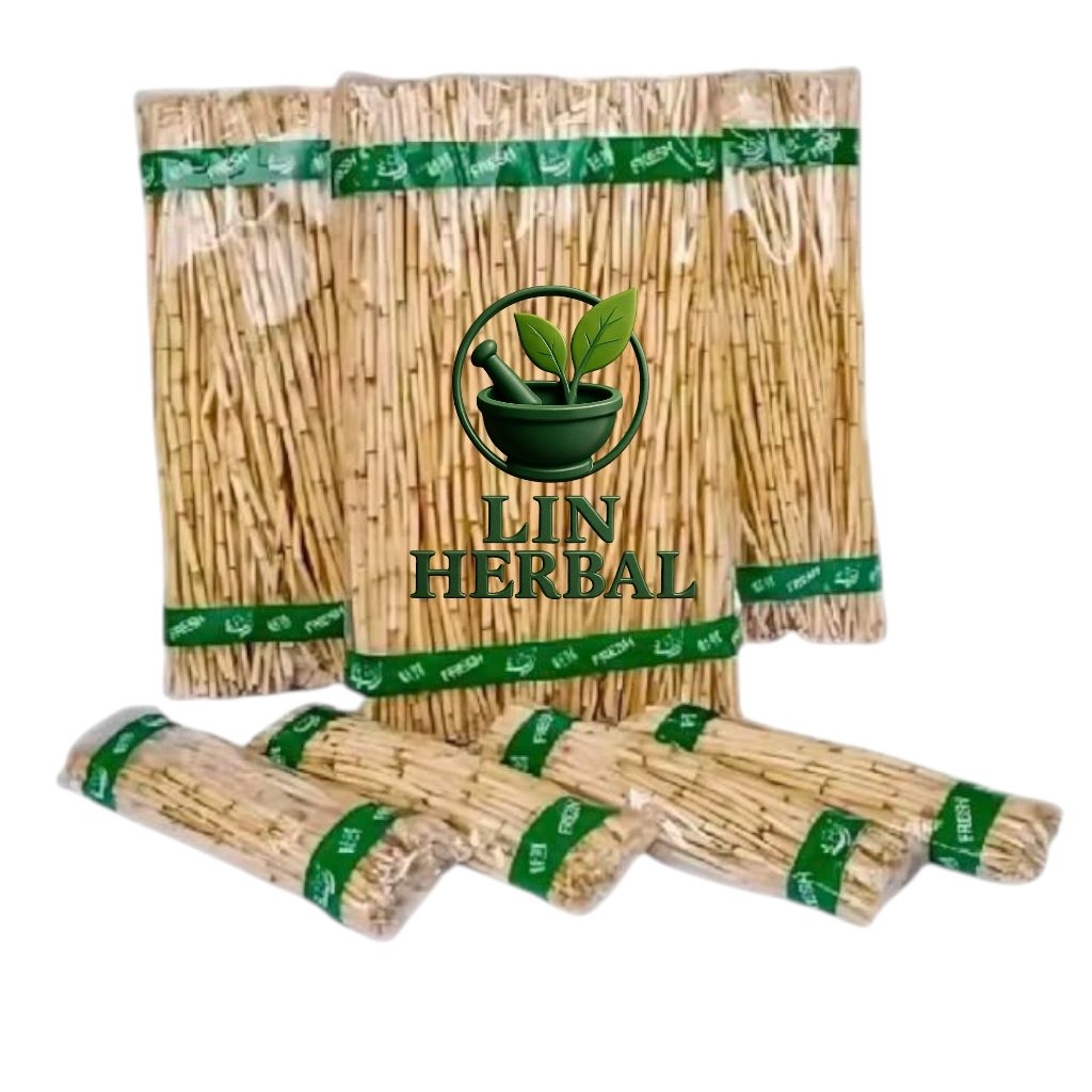 

Akar Alang-Alang Segar Akar Ilalalang 500 Grm