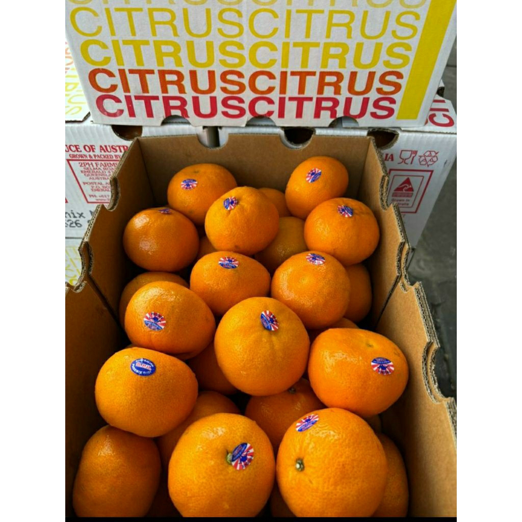 

jeruk honey murcot manis non biji 6kg