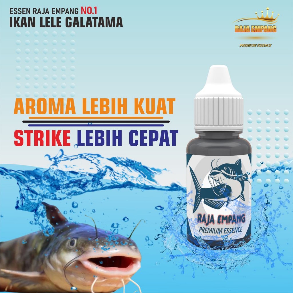 essen lele paling gacor essen daging galatama lele esen ikan lele galatama paling jitu