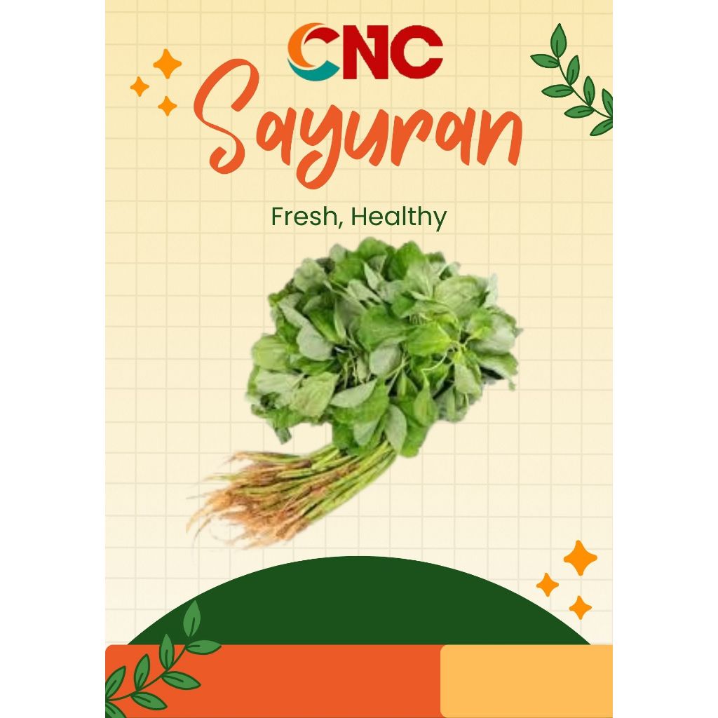 

KHUSUS INSTANT SAYUR BAYAM FRESH 1 IKAT