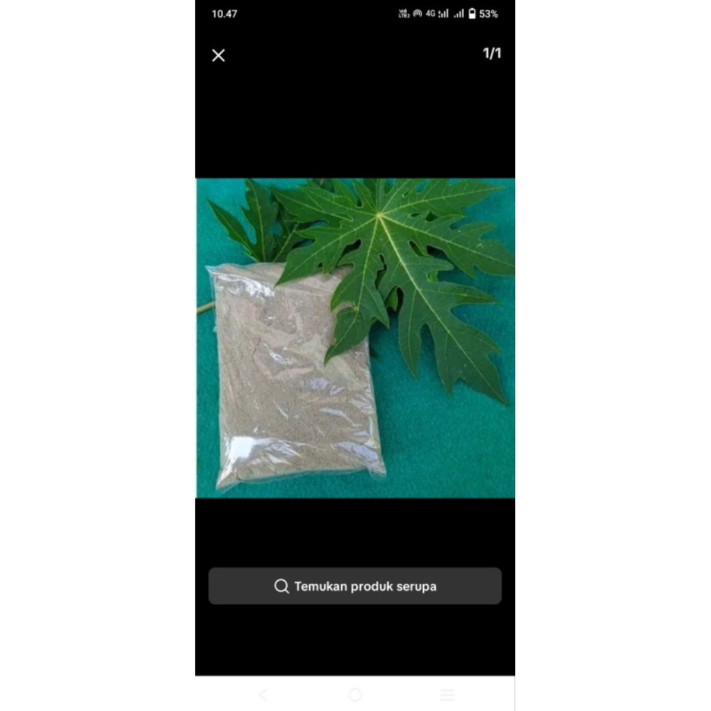 

daun kates mix bunga ples penghilang rasa pait