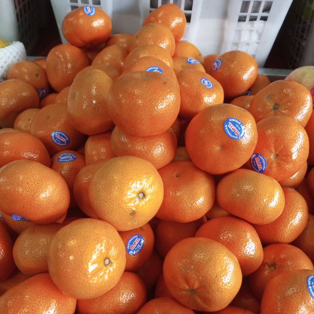 

Buah Jeruk Afourer Fresh Manis Segar 1 kg