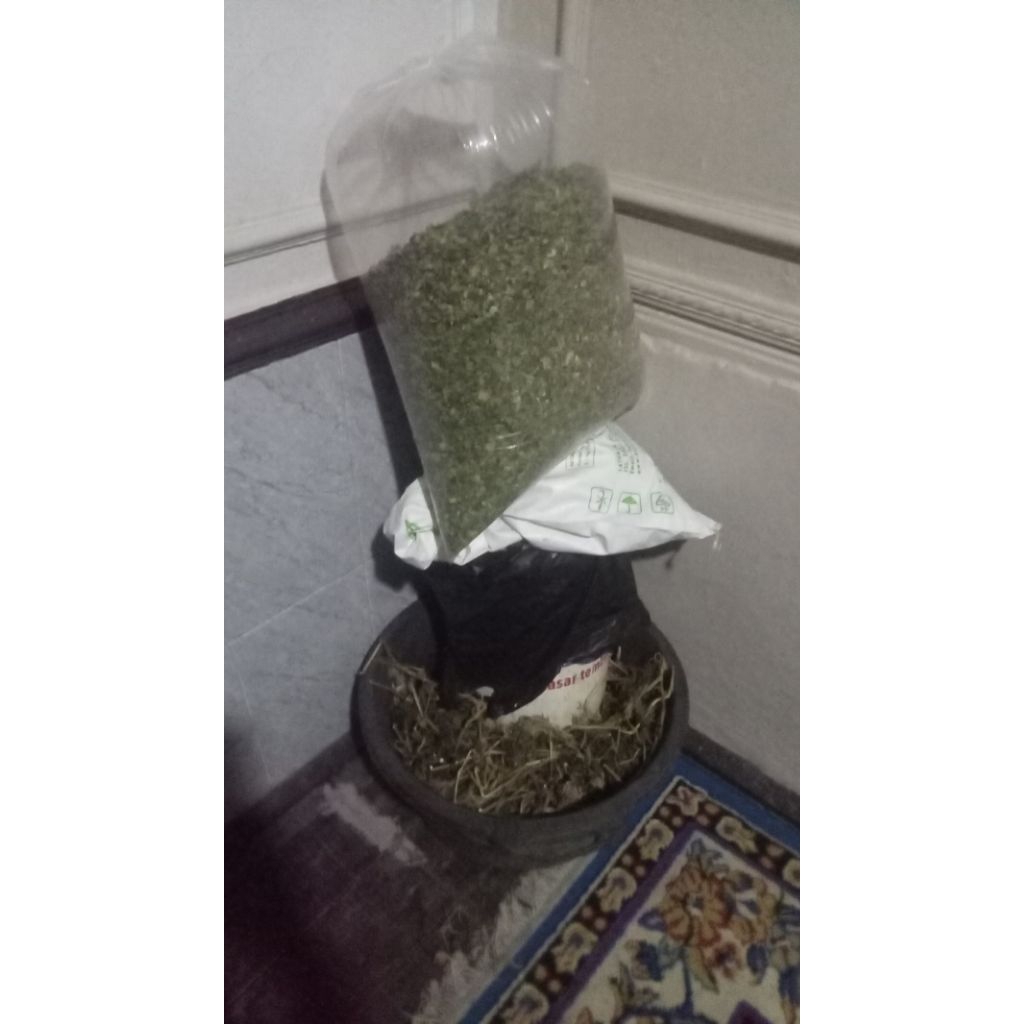 

Daun kelor kering 500 gram obat herbal terjamin