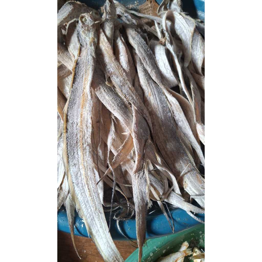 

IKAN ASIN LAYUR PANJANG KHAS CILACAP