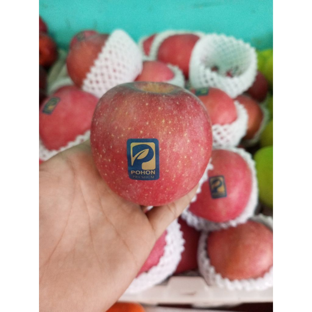 Buah Apel Fuji Premium Pohon Segar Fresh 1 kg