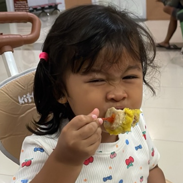 

DIMSUM SATE LILIT NUGGET HOMEMADE ANEKA OLAHAN AYAM NO MSG