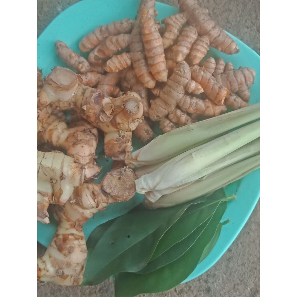 

paket lengkap bumbu dapur 200 gr: lengkuas 200 gram kunyit 200 gram serai 10 lembar daun salam