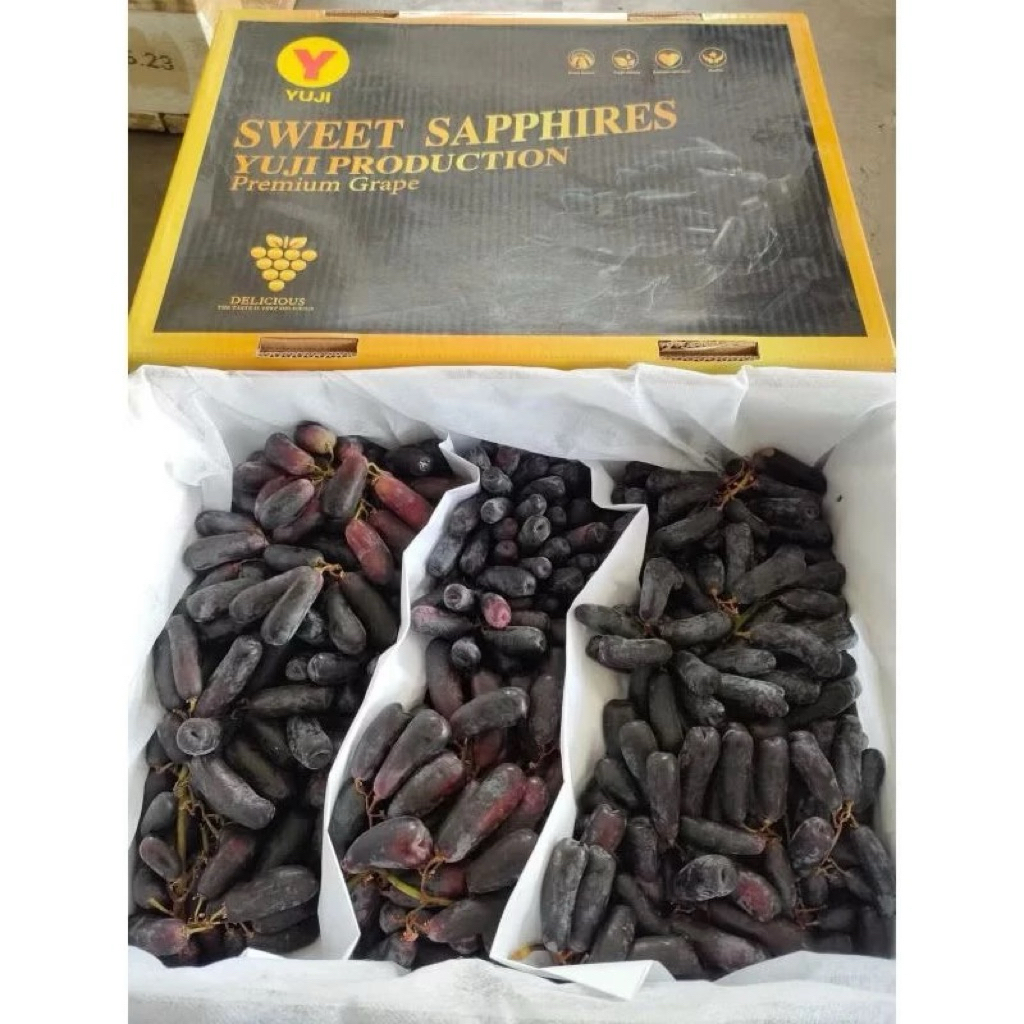 

buah anggur muscat import