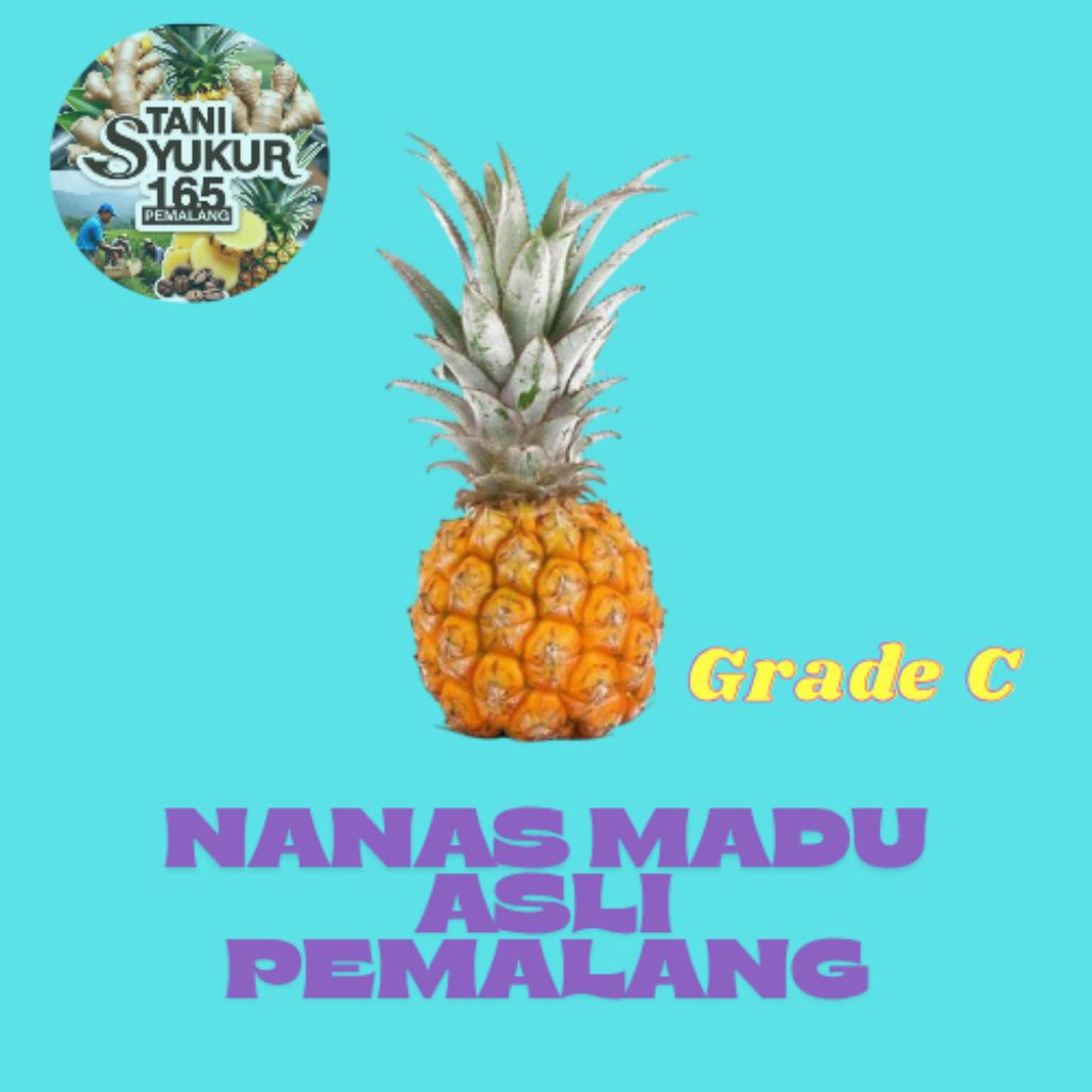 

NANAS MADU PEMALANG GRADE C