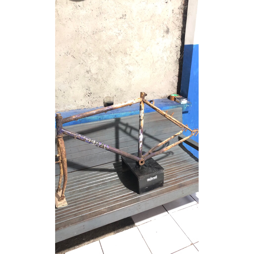 frame federal streetcat