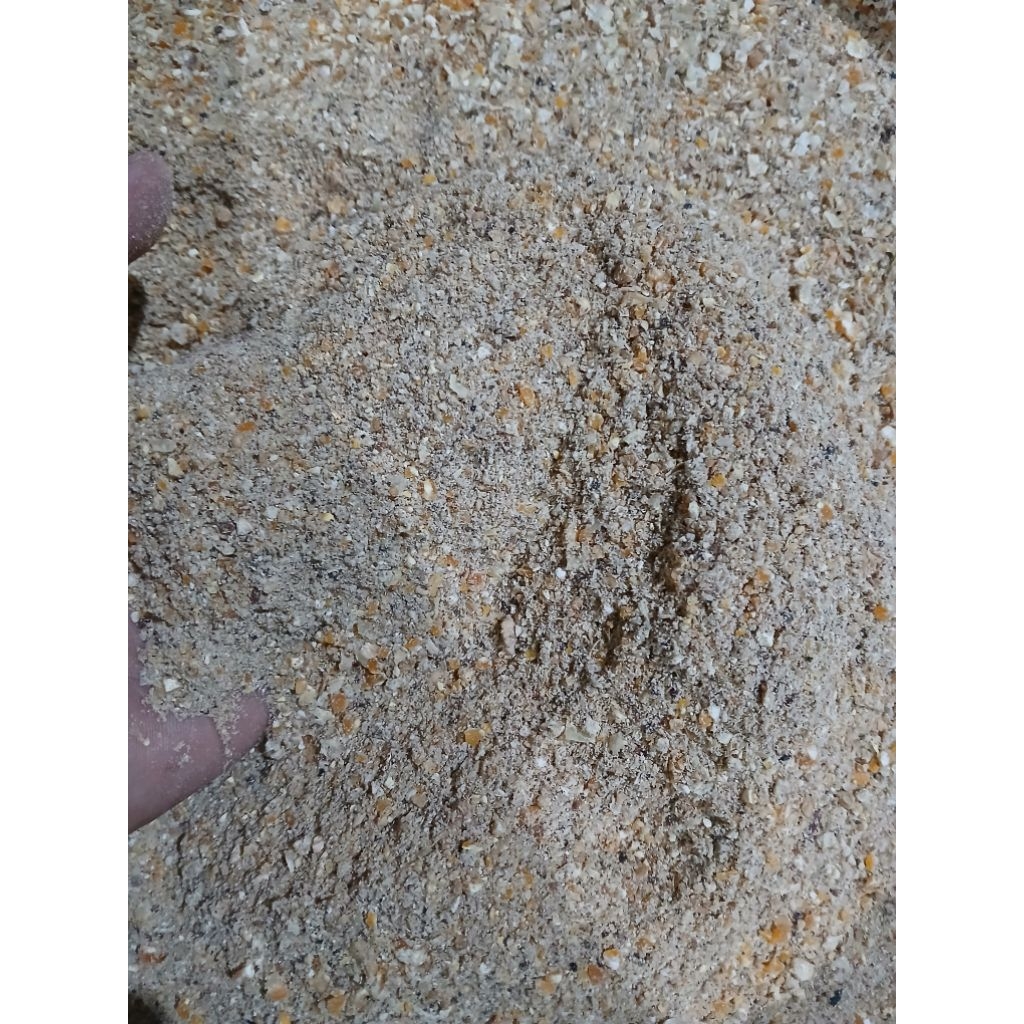 pakan jadi ayam petelur/layer (self mixsing )