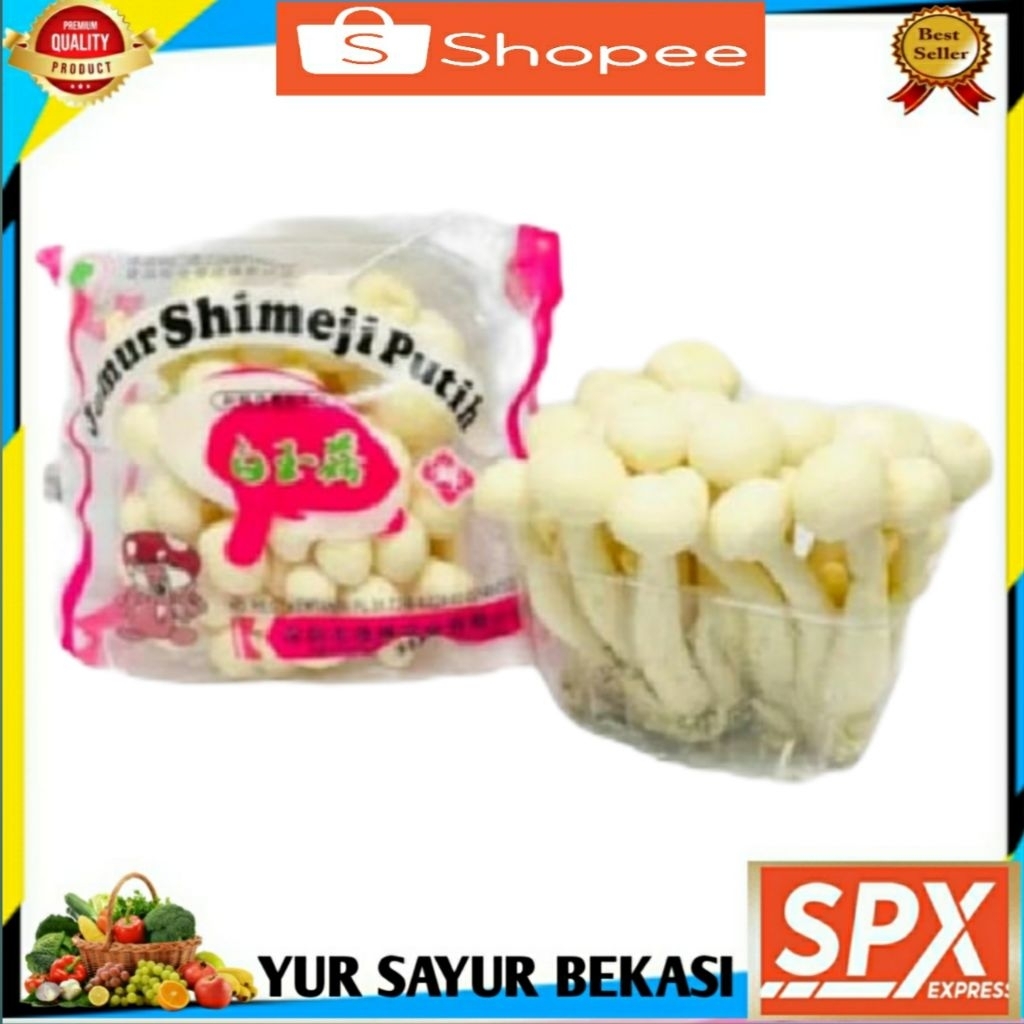 

Jamur Shimeji 1pack.