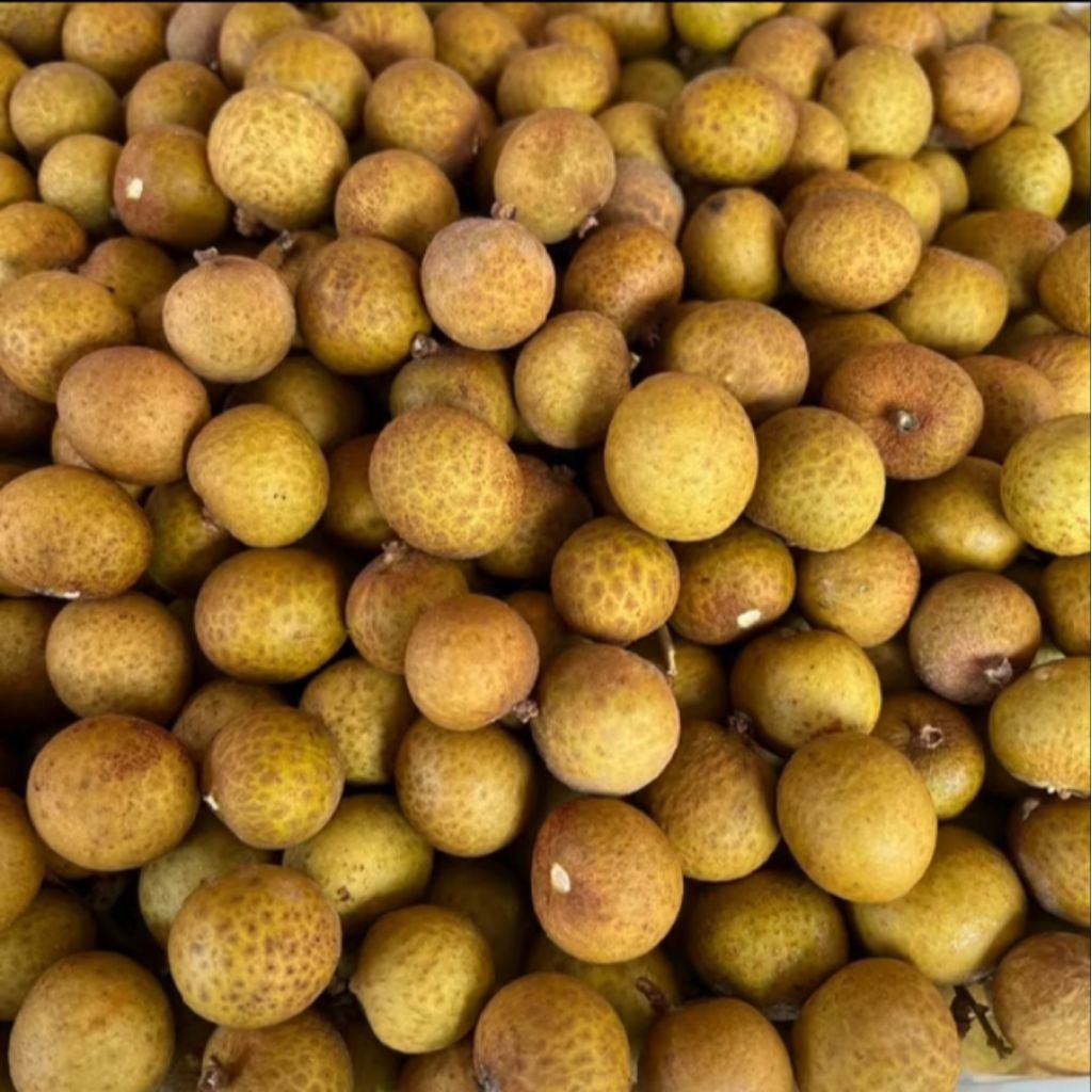 

Buah Kelengkeng/Lengkeng Segar Tanpa Ranting 500- 1kg