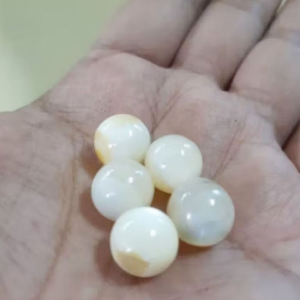 MUTIARA KULIT KERANG ASLI 100%