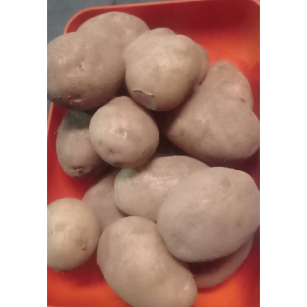 

kentang sayur dari dieng ukuran sedang isi 5-6