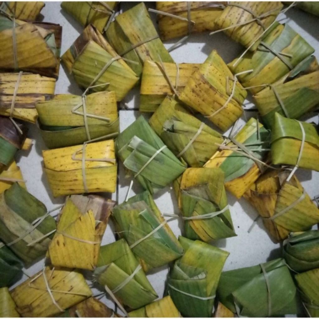 

Tempe daun ukuran kecil 5 pics