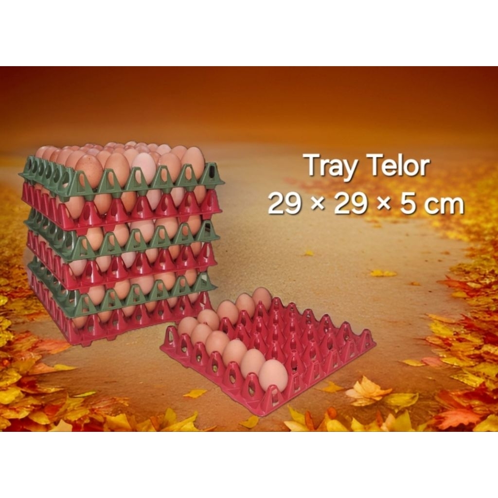 Egg Tray/Tray Telur/Wadah Telur Tumpuk-1pcs