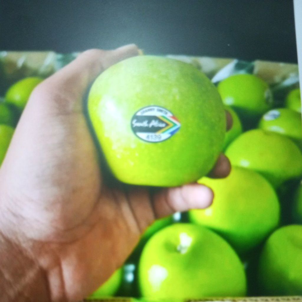 

Buah Apel Hijau Impor Fresh 1 kg