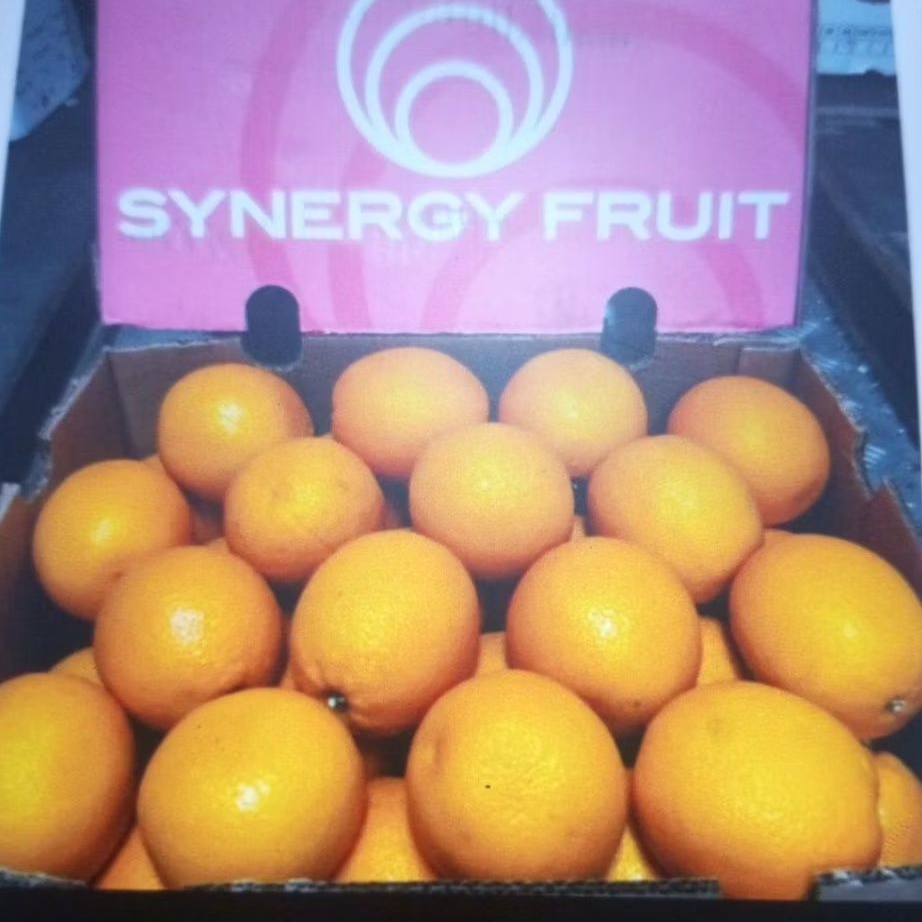 

Jeruk Sunkist Valencia Fresh Buahnya Per 1 kg