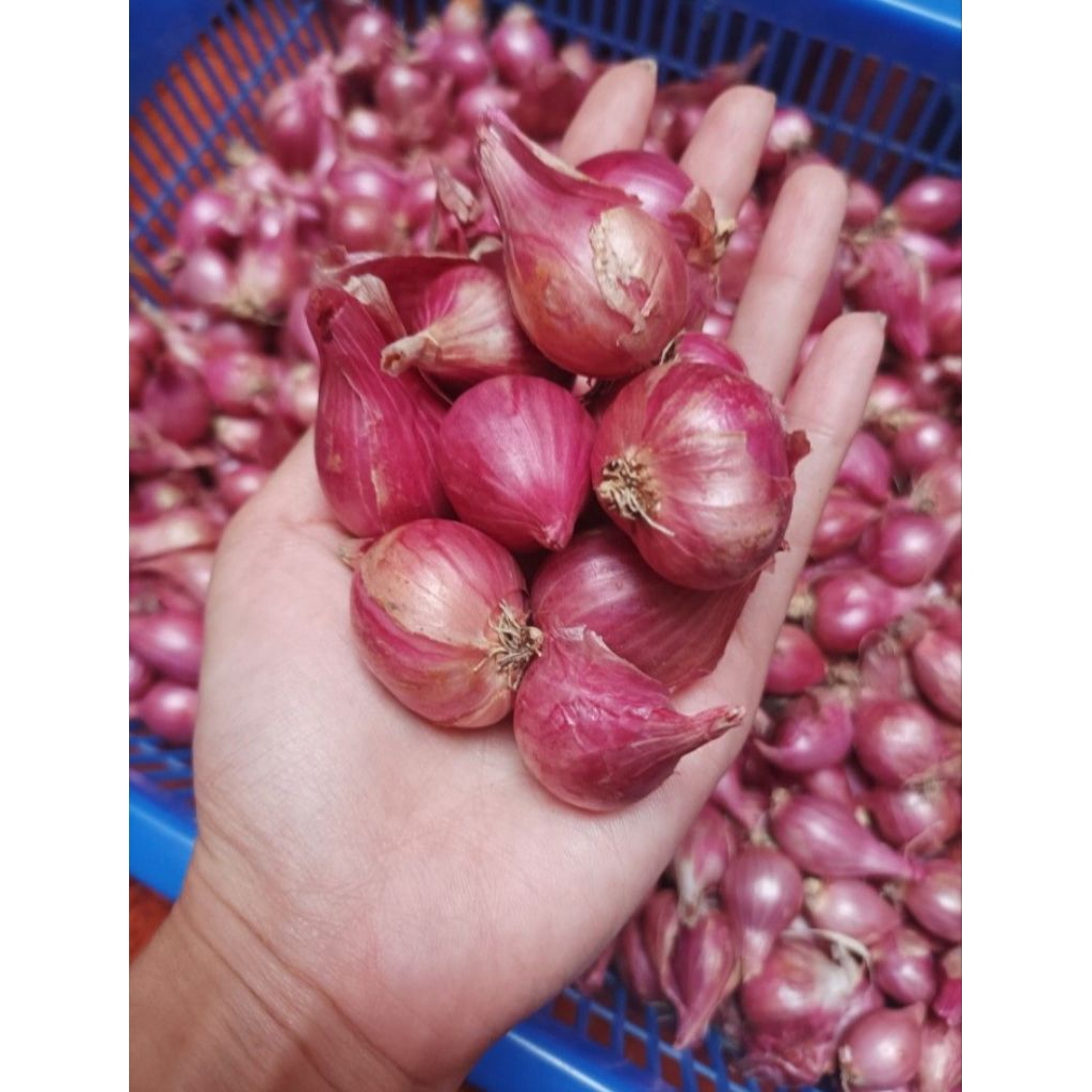

Bawang Merah lokal Nganjuk (500g/1kg)