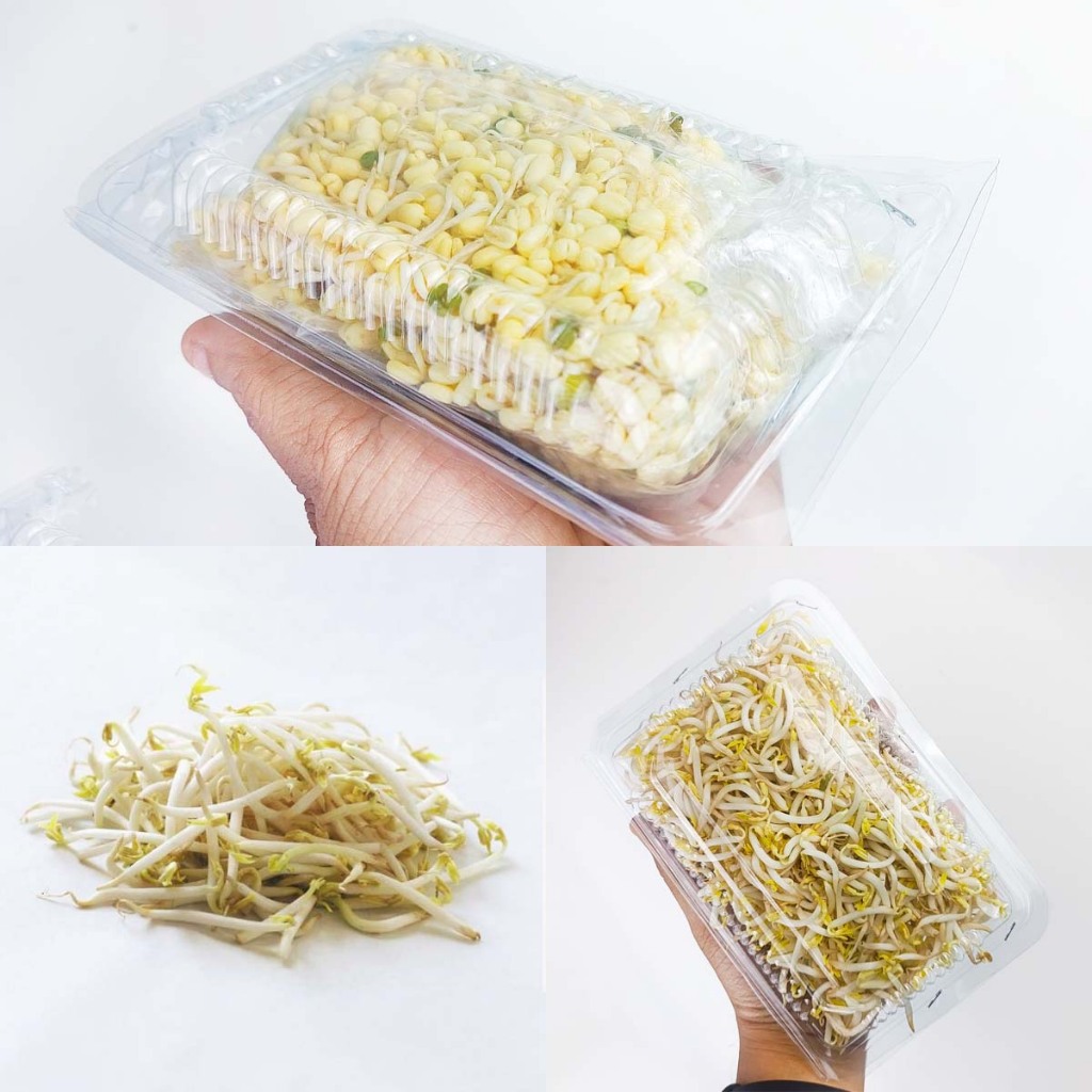 

Sayuran Segar Toge, Toge Kecambah, Toge Rawon 150g