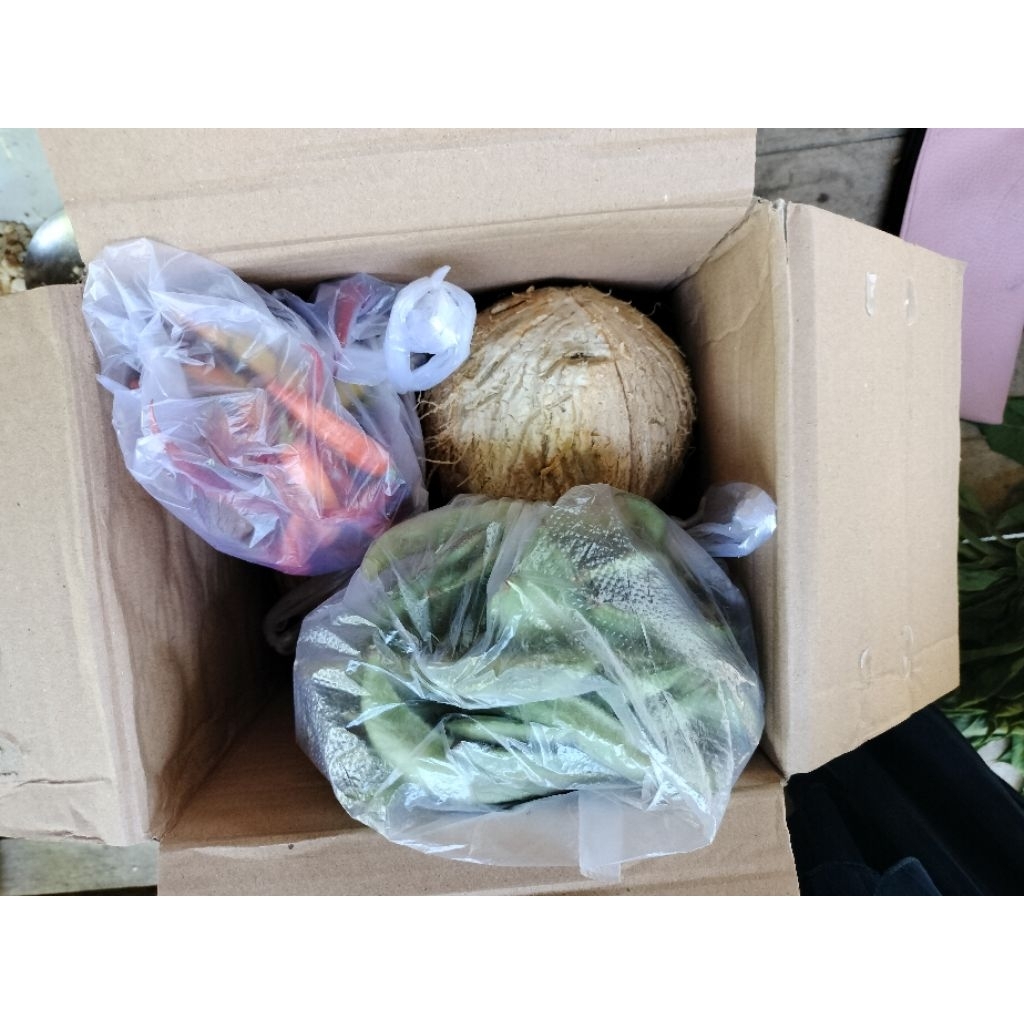 

Paket memasak 3 item ( kelapa 1biji, cabai 1on , sayuran rendem )