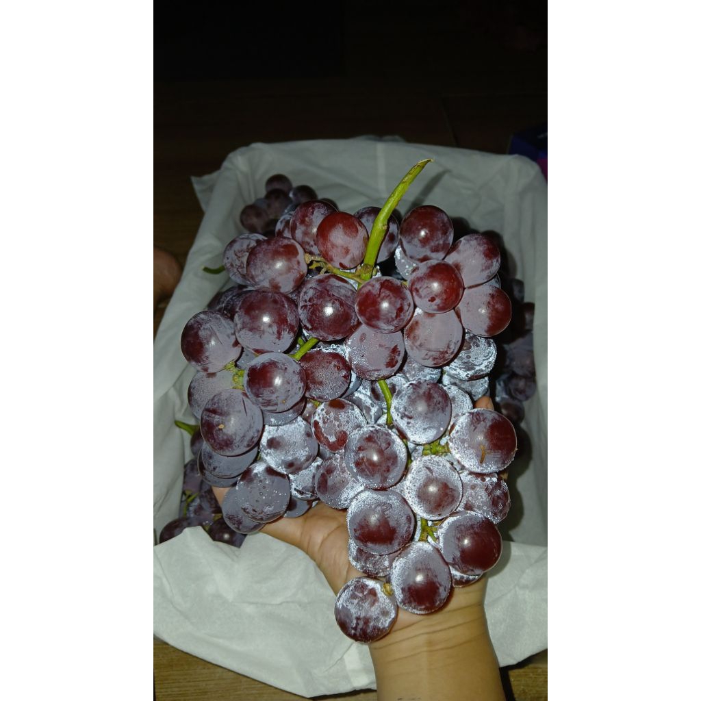 

Buah An99ur Mer4h Chn 1kg