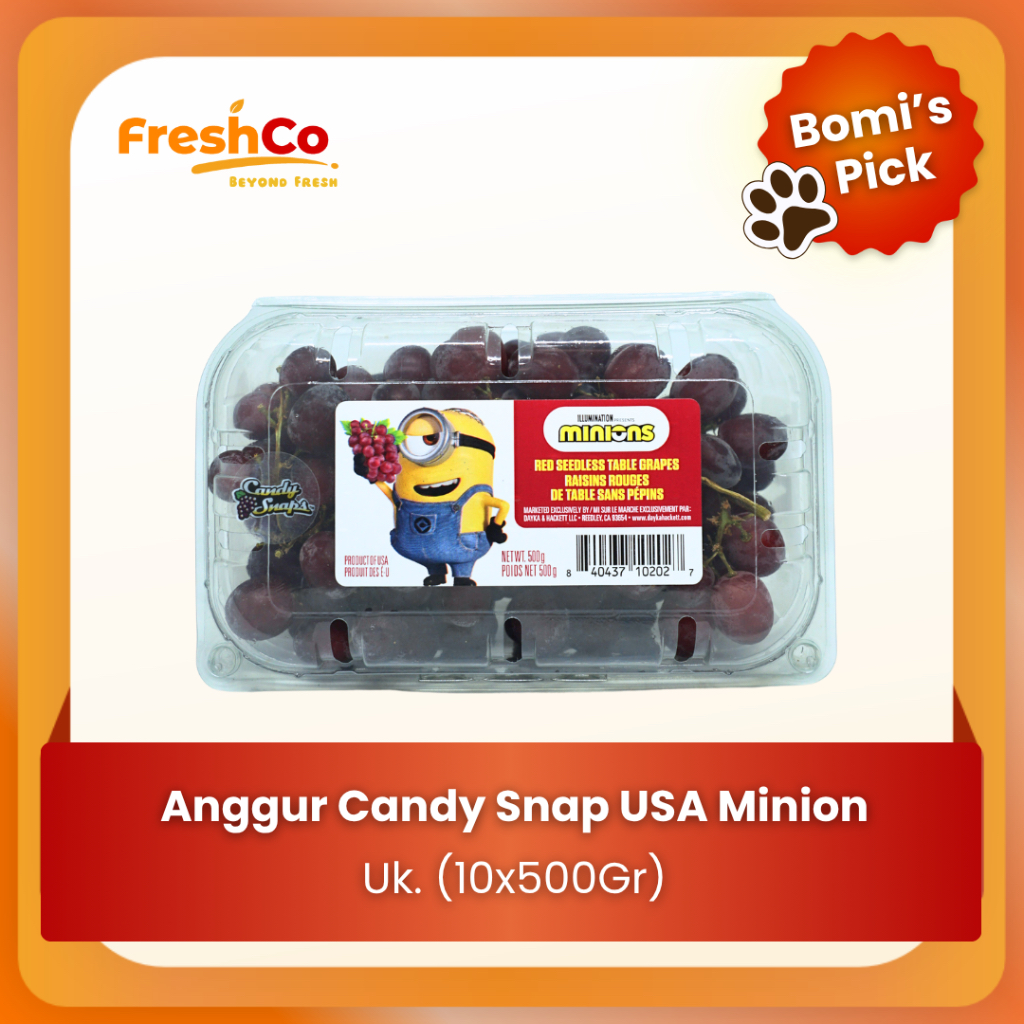 

FreshCo Anggur Candy Snap USA Minion 500gram