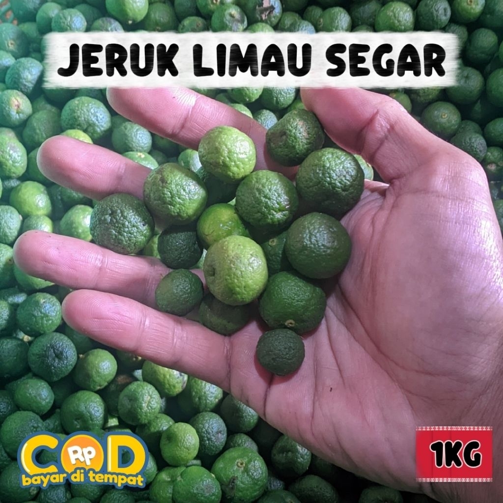 

Jeruk Limau / jeruk purut 1kg super segar
