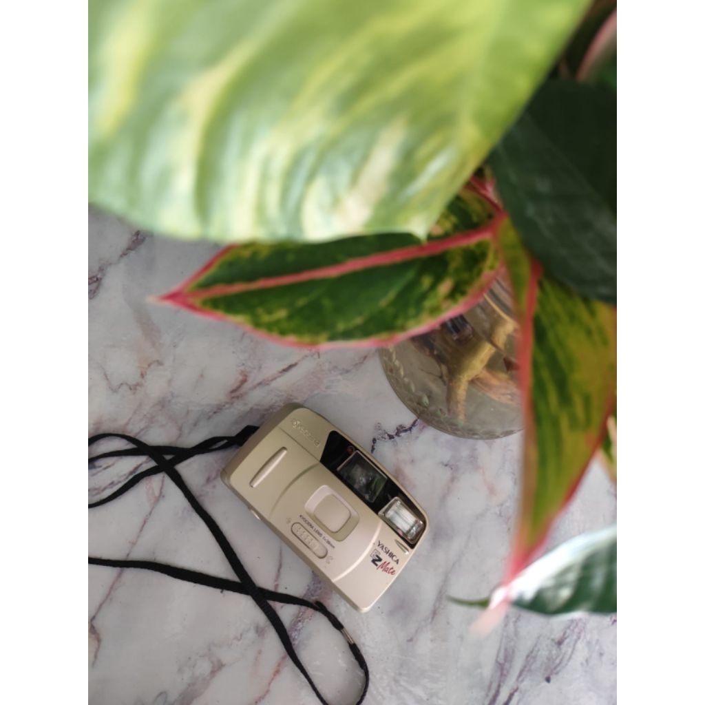 Kamera Analog Kyocera Yashica EZ Mate