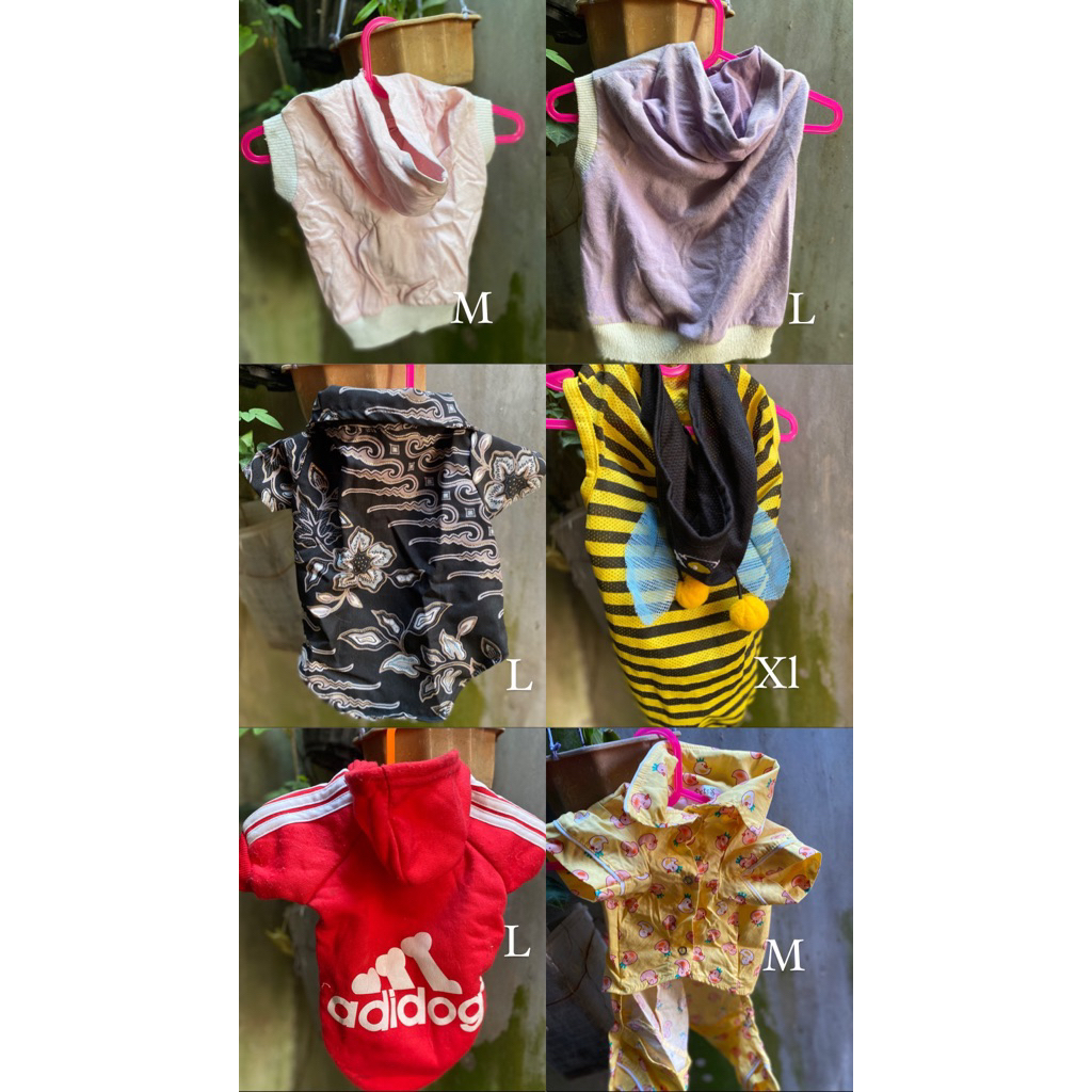 preloved hoodie kucing