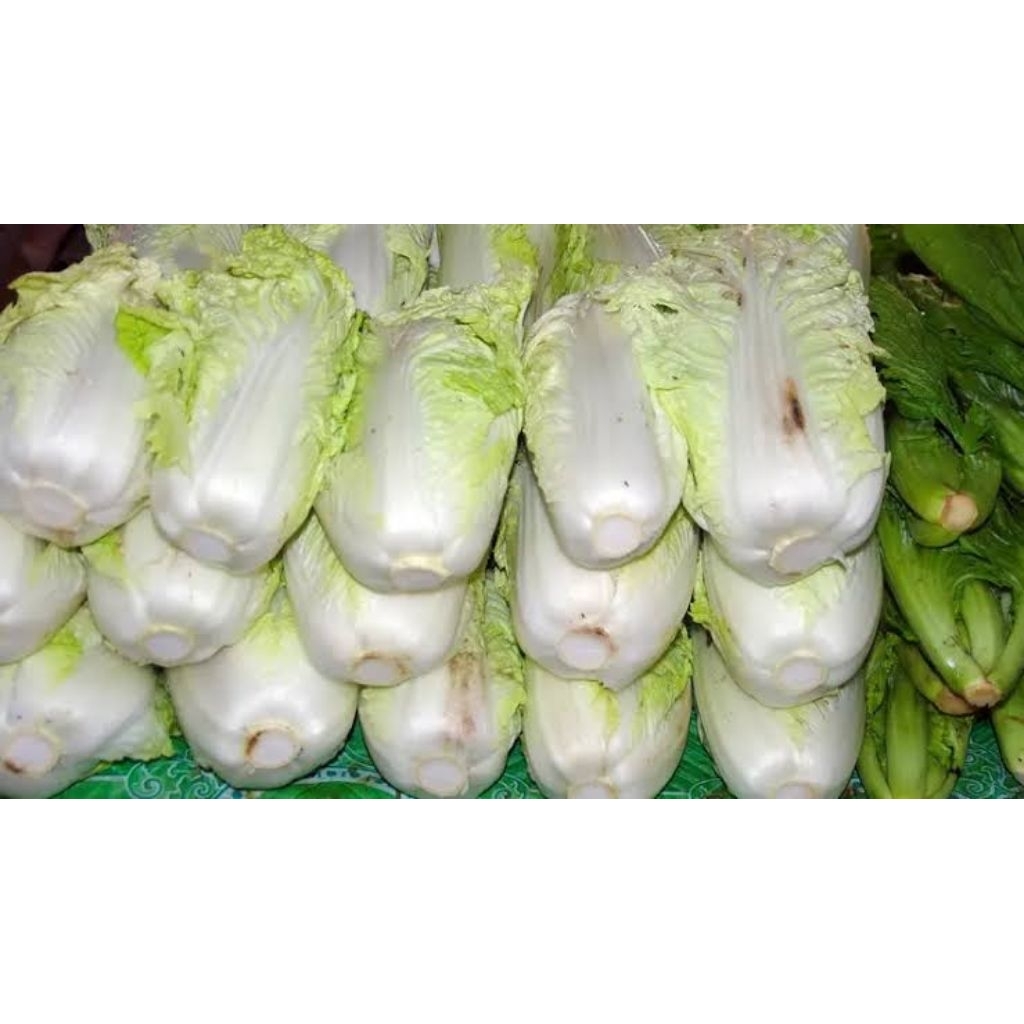 

Sawi putih by Adamarket